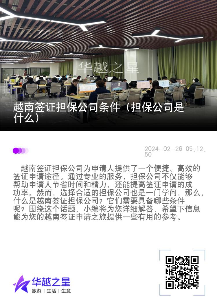 越南签证担保公司条件（担保公司是什么）